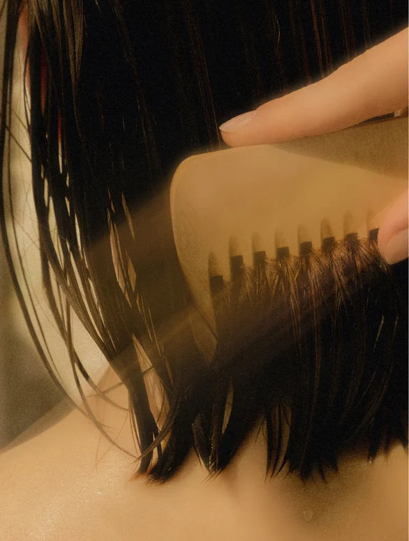 Hair Repair & Shine Duo