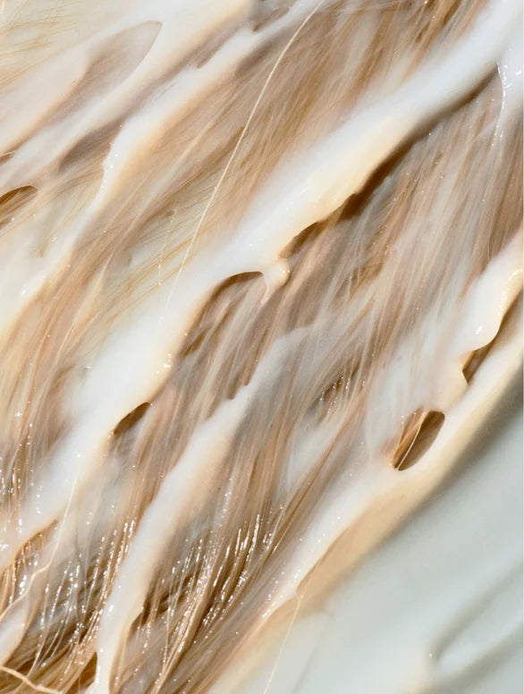 Hair Repair & Shine Duo